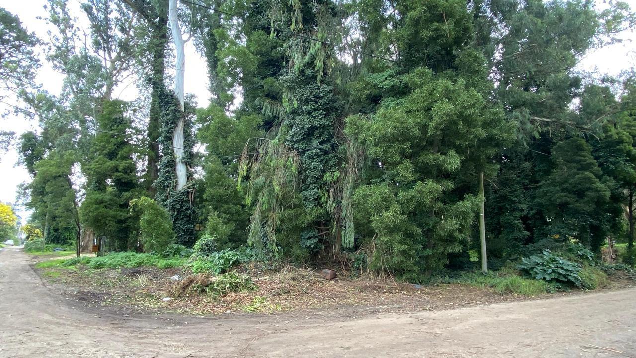 Foto de Terreno en bosque peralta ramos, imagen 2