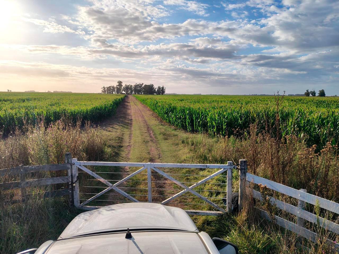 Foto de Campo en Vivorata, imagen 2