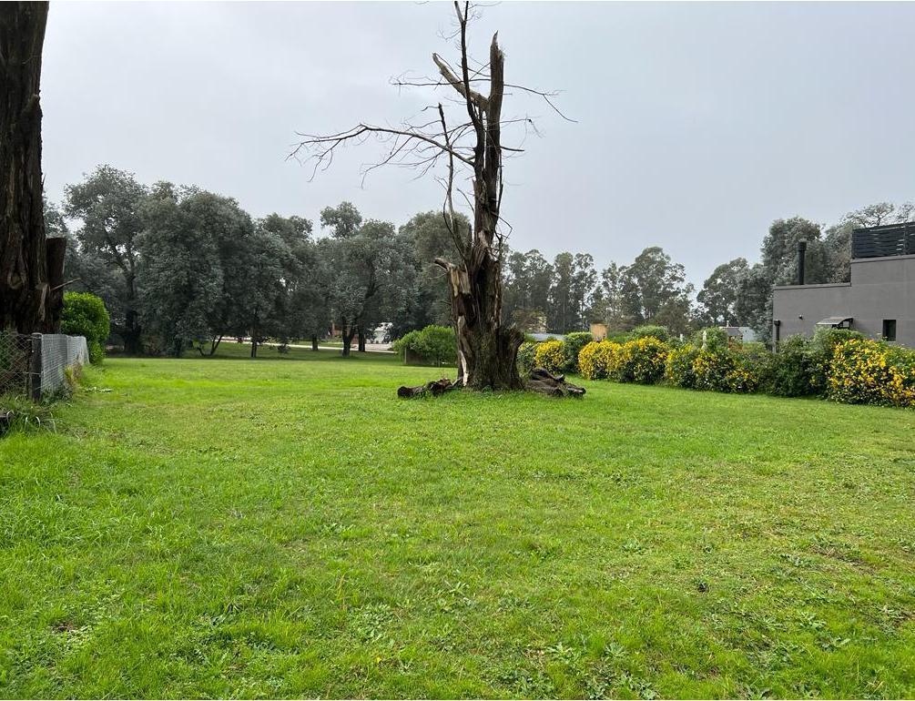 Foto de Lote Barrancas de San Benito OPORTUNIDAD, imagen 4