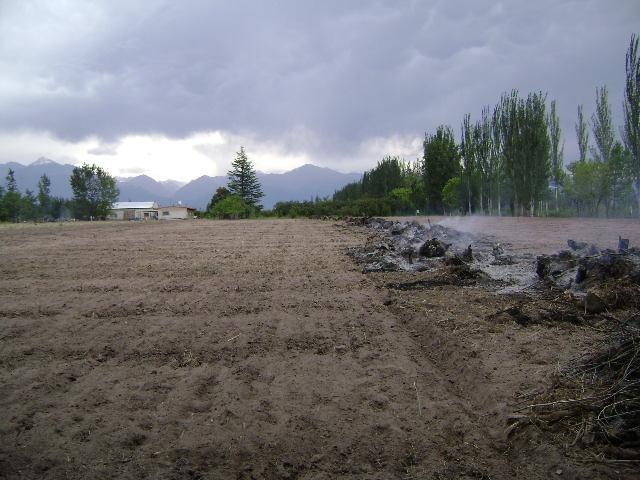 Mendoza - Tunuyan - Sobre Ruta Provincial 93 - 9,6 Has - B° Altos de Uco - Urbanizado - Lotes de 2000 m² 3