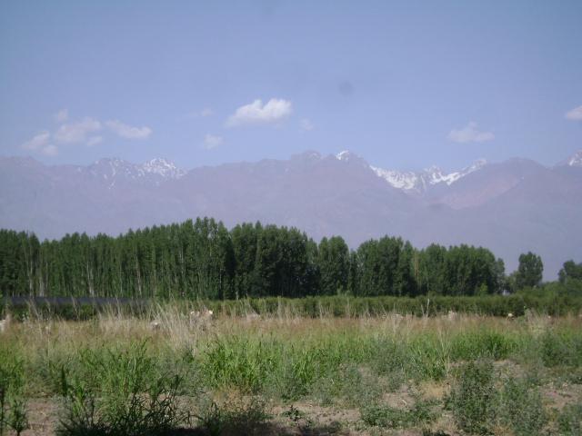 Mendoza - Tunuyan - Sobre Ruta Provincial 93 - 9,6 Has - B° Altos de Uco - Urbanizado - Lotes de 2000 m² 4