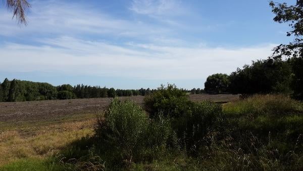 Excelente Campo en Venta de 74 Has - Apto Desarrollo Inmobiliario - Campana