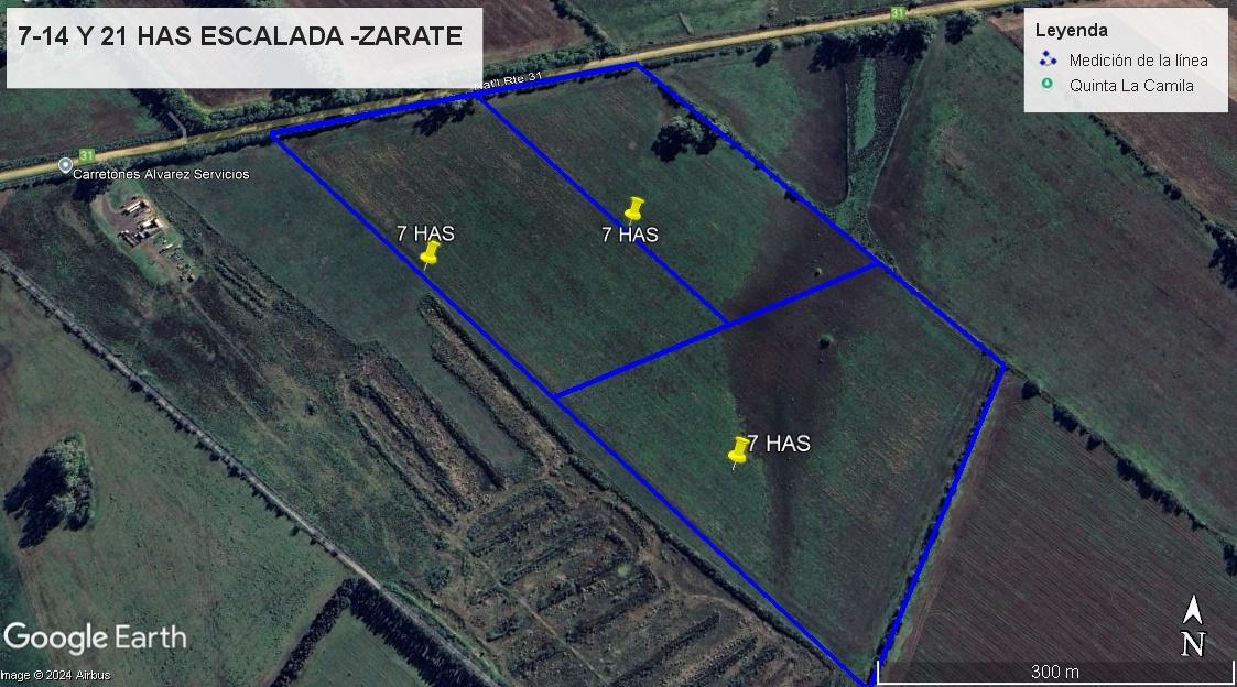 CAMPO DE 7 HAS - 14 HAS Y 21 HAS EN VENTA EN ESCALADA-ZARATE
