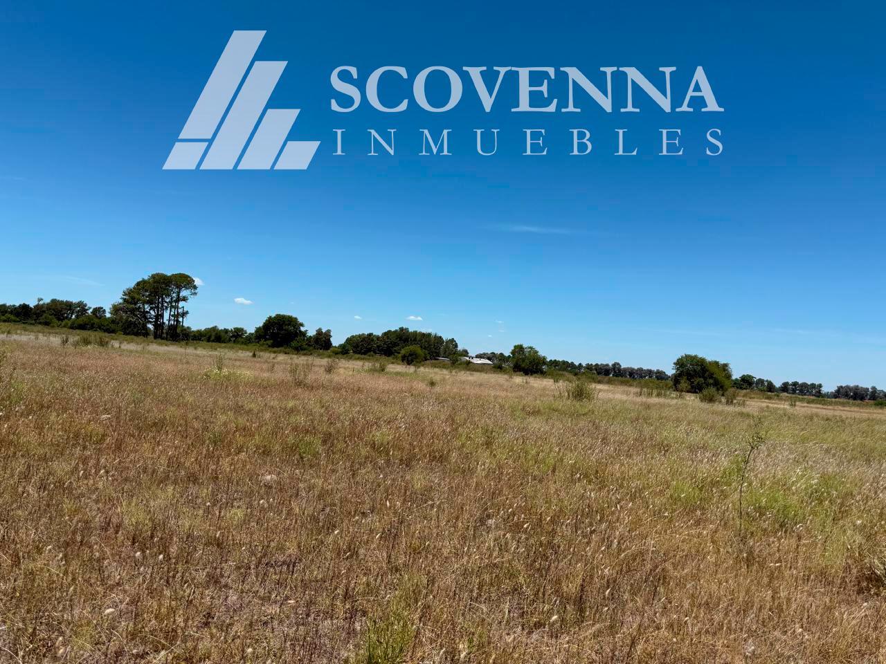 Campo 100 % Agrícola en Venta Chenaut