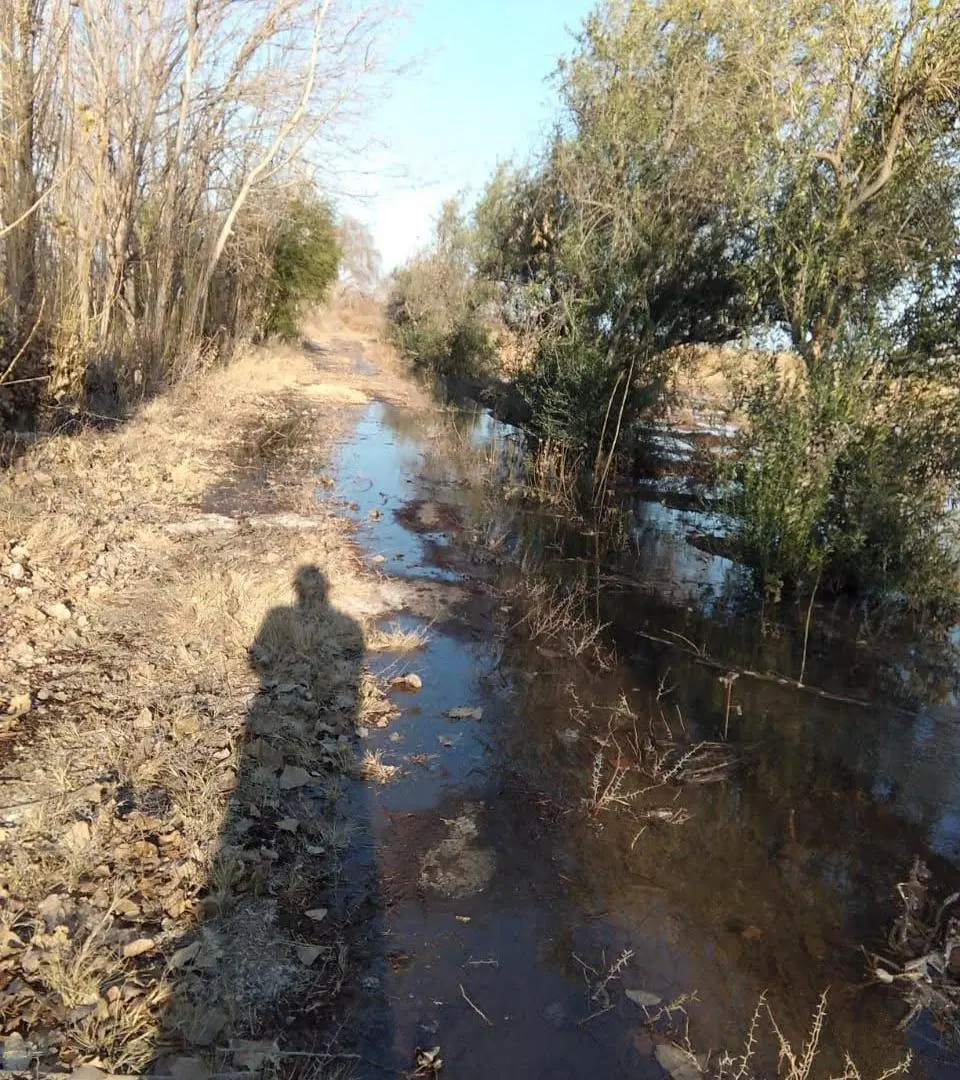 VENDE FINCA!! Los Corralitos, Guaymallen. 2