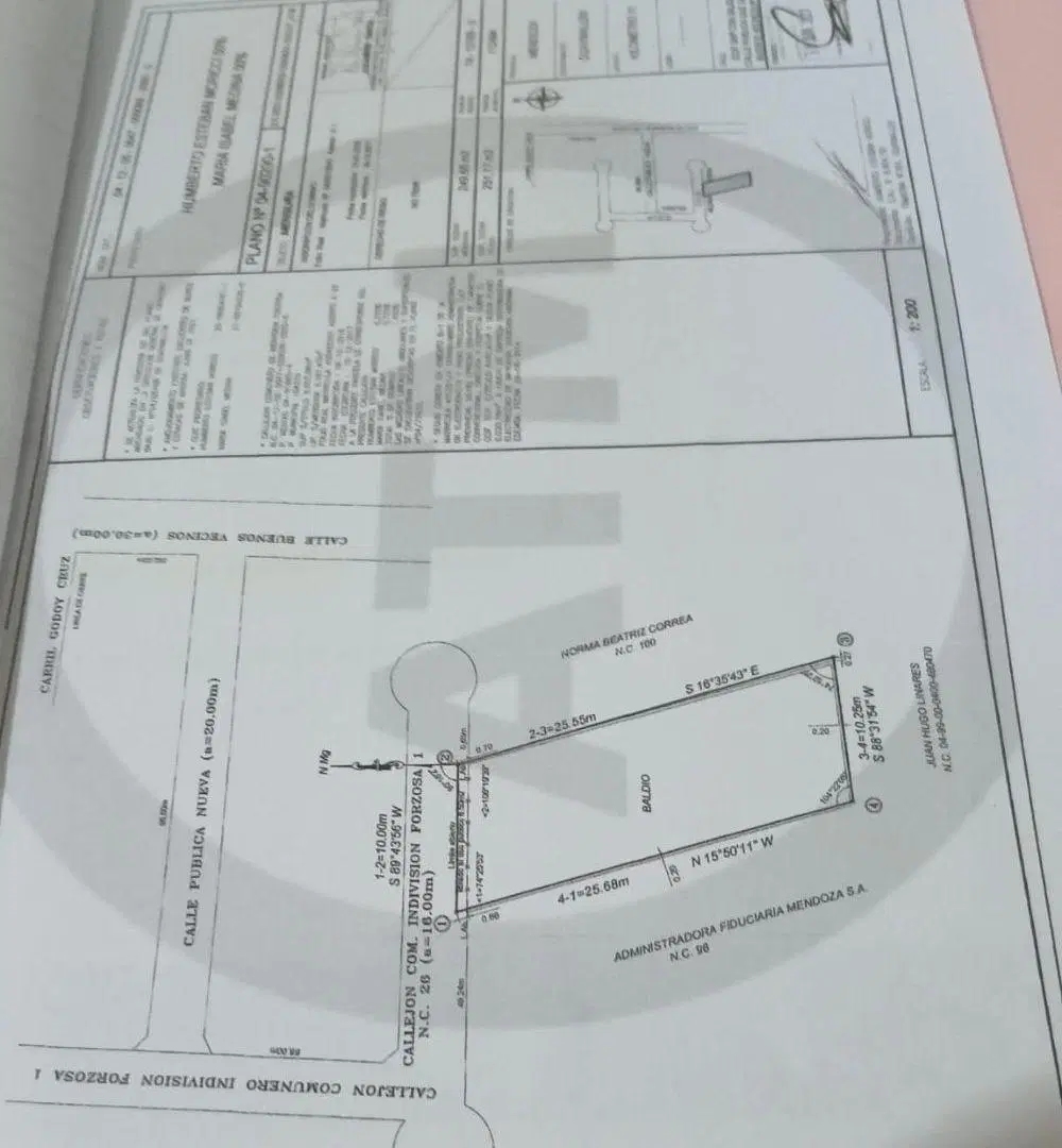Plano 1