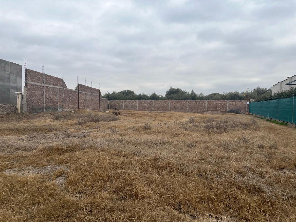 Foto de LOTE Bº VILLA OLIVOS, Los Corralitos, Guaymallén., imagen 3
