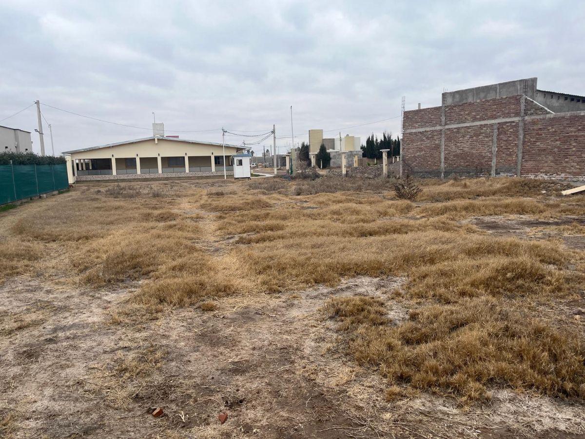 Foto de LOTE Bº VILLA OLIVOS, Los Corralitos, Guaymallén., imagen 4