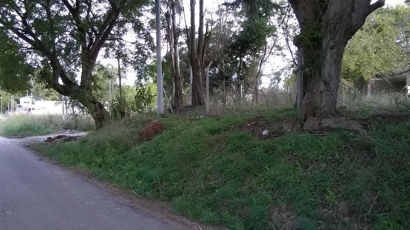 Terreno en Venta, 186,62 m 1