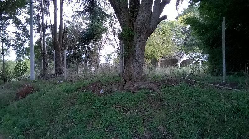 Terreno en Venta, 186,62 m 4