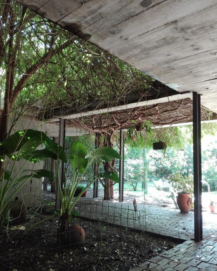 Casa - Villa Elisa 3