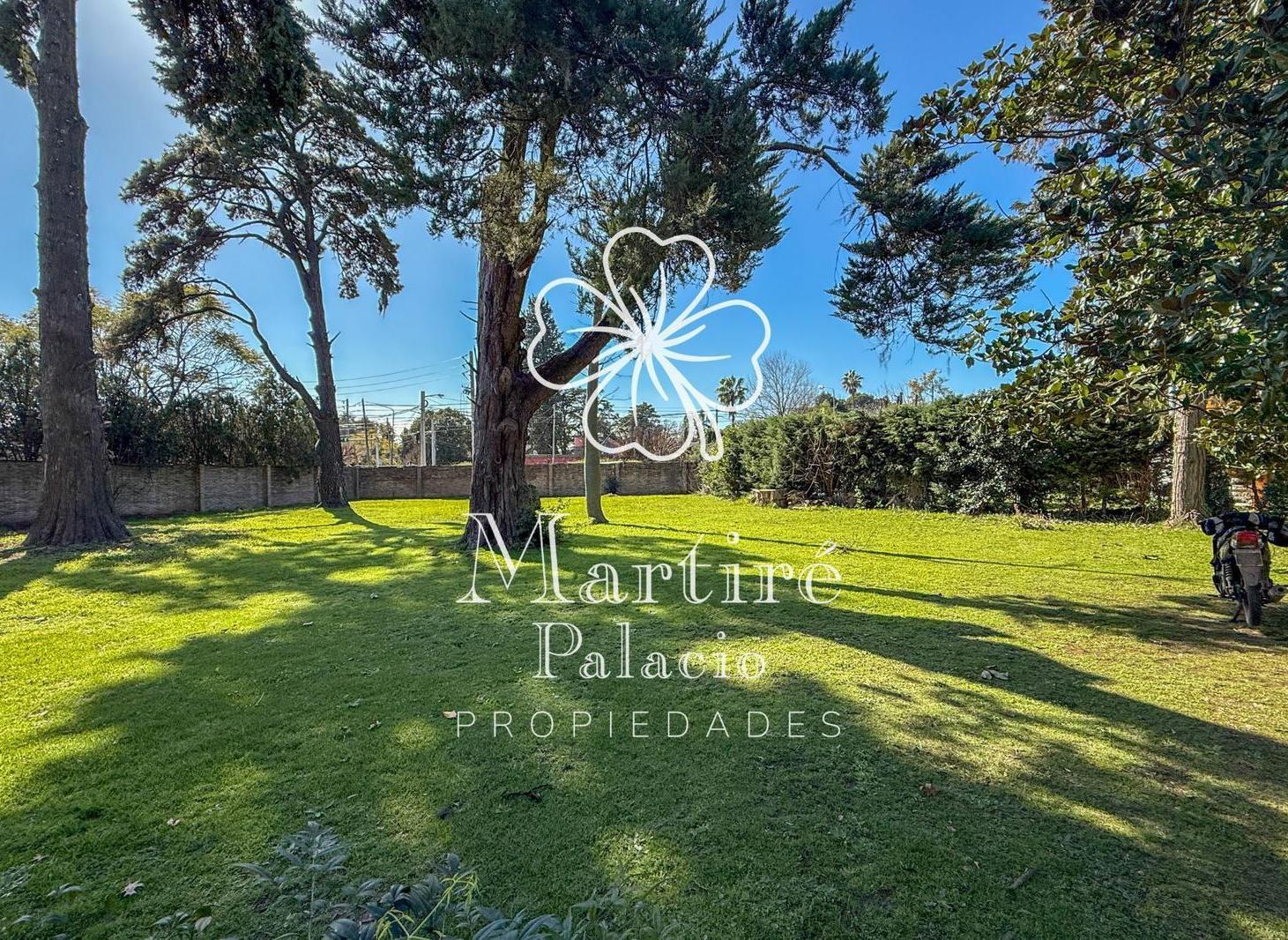 Foto de Terreno en Villa Bertha, imagen 5
