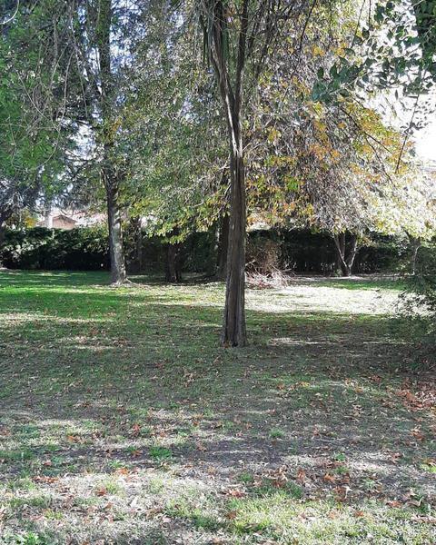 Foto de Terreno en venta. Muy buena ubicación., imagen 4