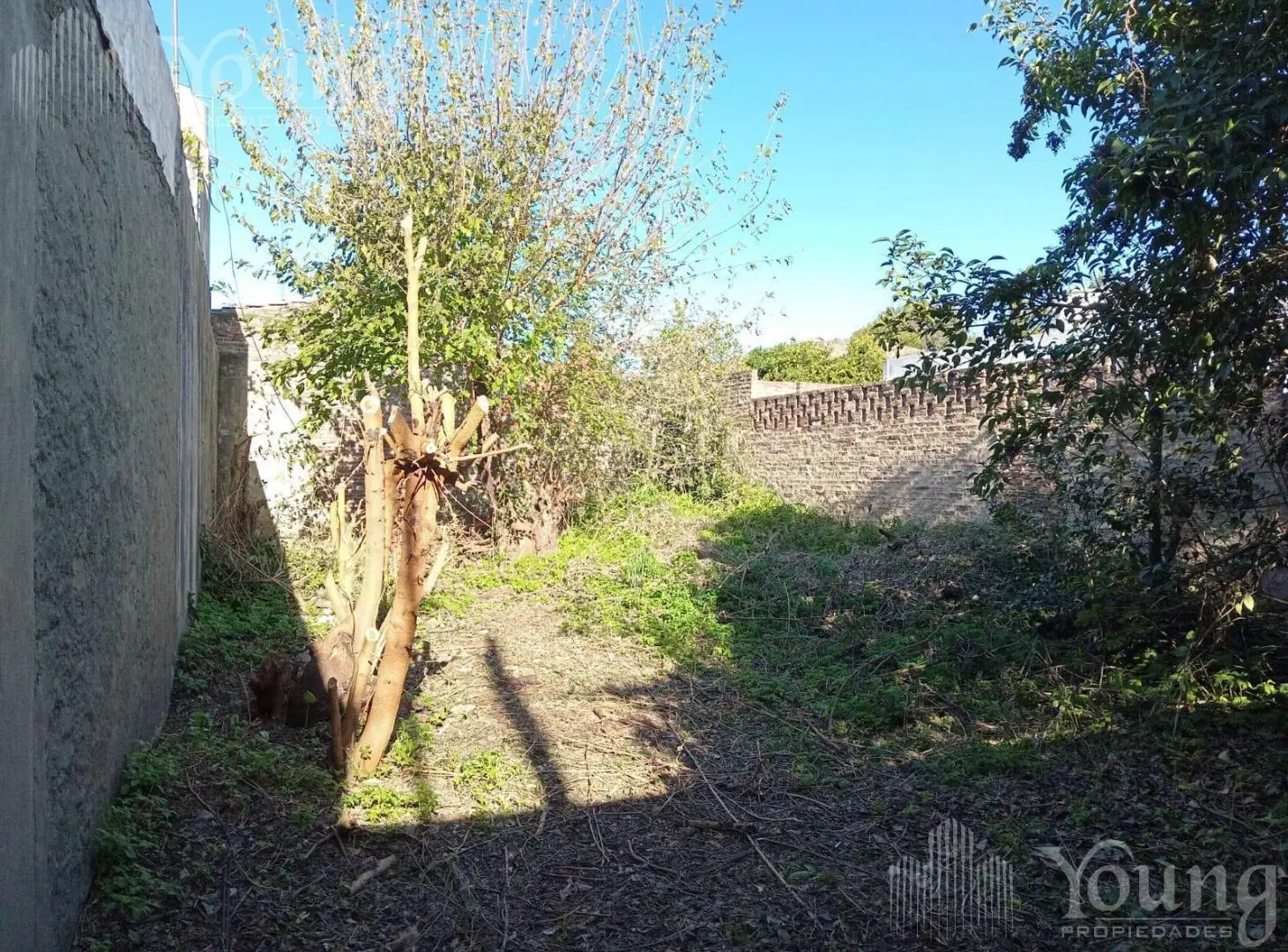 Terreno en Venta en Villa Dominico 4