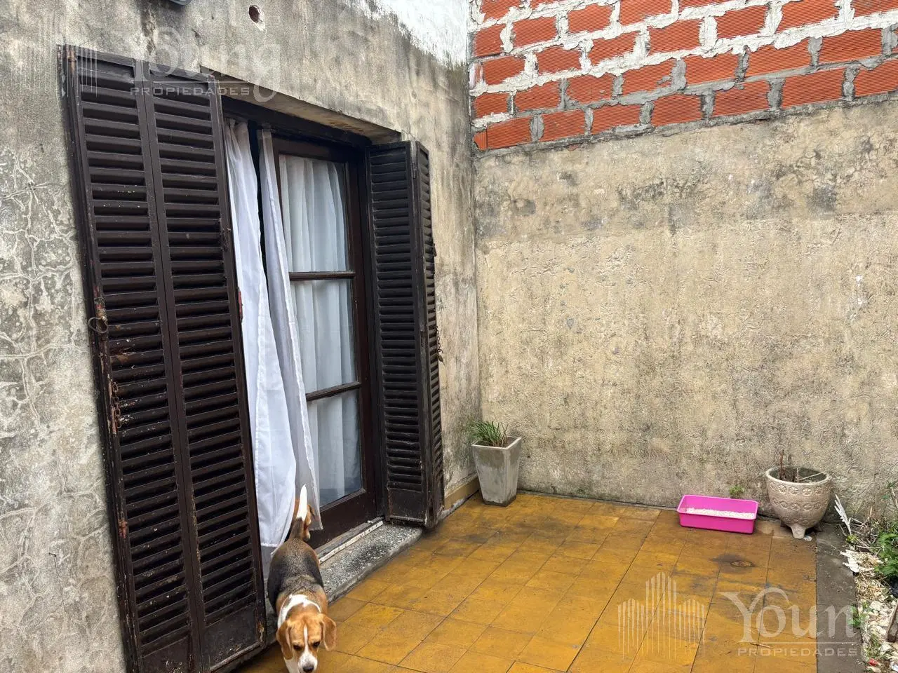 PH en venta en Villa Dominico 5