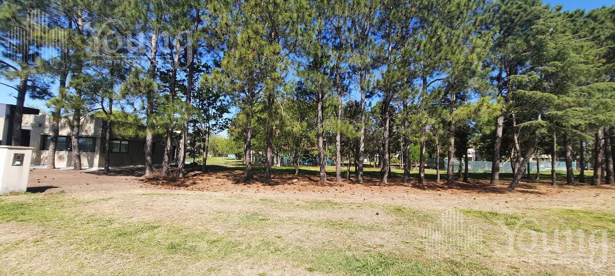 Foto de TERRENO VENTA EN GREEVILLE POLO RESORT, imagen 2