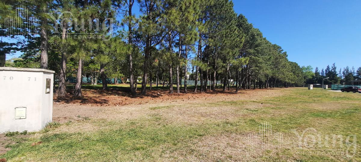 Foto de TERRENO VENTA EN GREEVILLE POLO RESORT, imagen 4