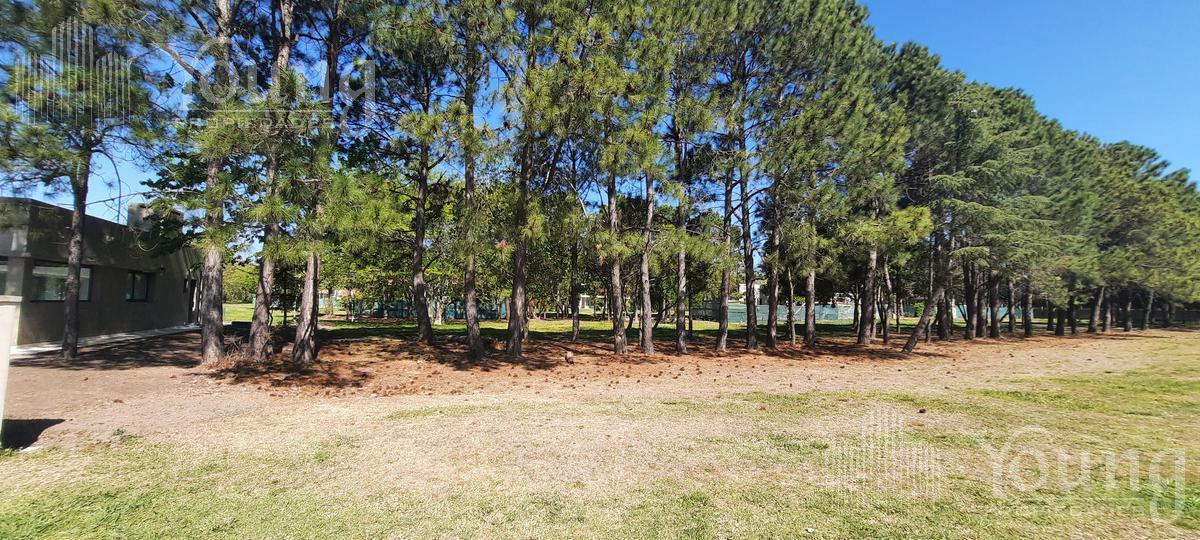 Foto de TERRENO VENTA EN GREEVILLE POLO RESORT, imagen 3