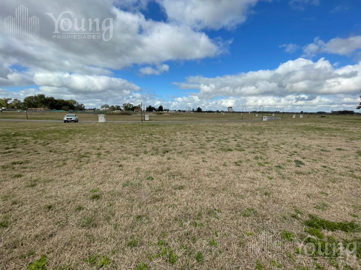 Foto de TERRENO VENTA EN LA PLATA, imagen 2