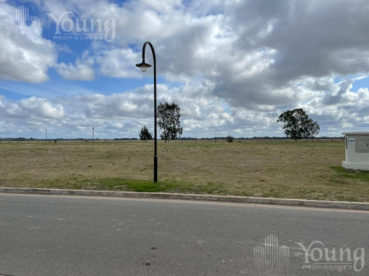 Foto de TERRENO VENTA EN LA PLATA, imagen 1