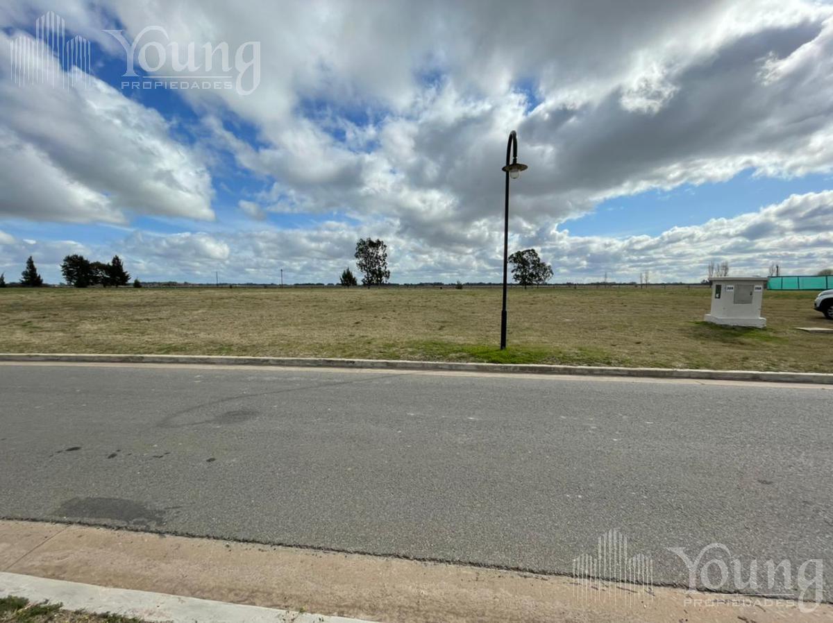 Foto de TERRENO VENTA EN LA PLATA, imagen 4