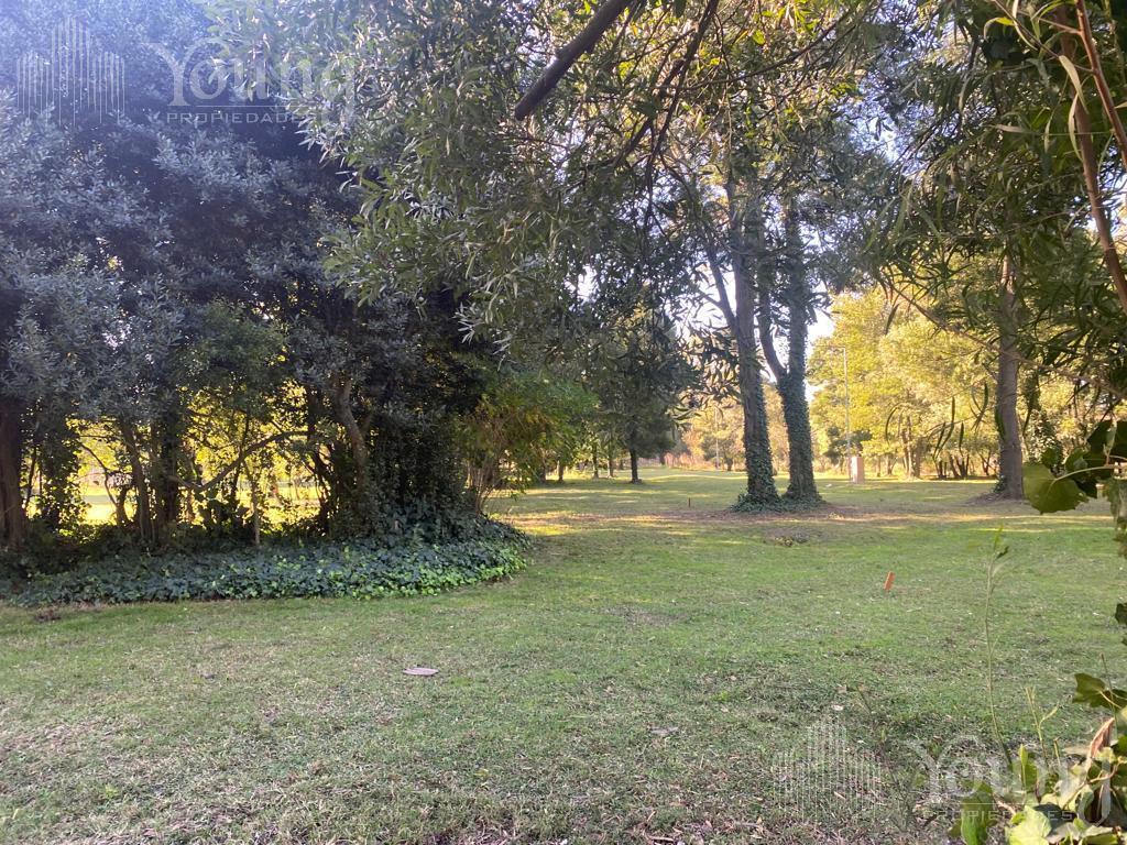 Foto de Terrenos Venta General Madariaga, imagen 1