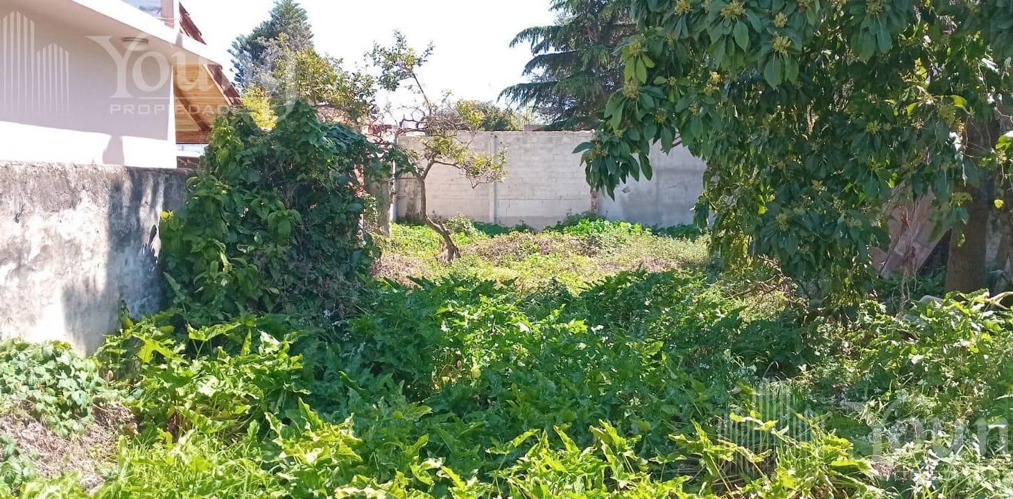 Foto de Terreno en Quilmes, imagen 4