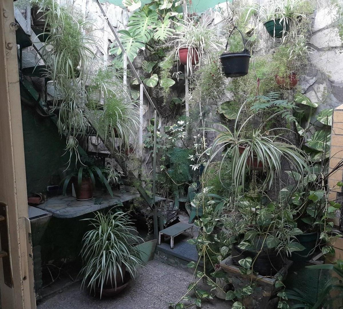 Casa en Venta en Parque Chacabuco, Capital Federal, Buenos Aires 4