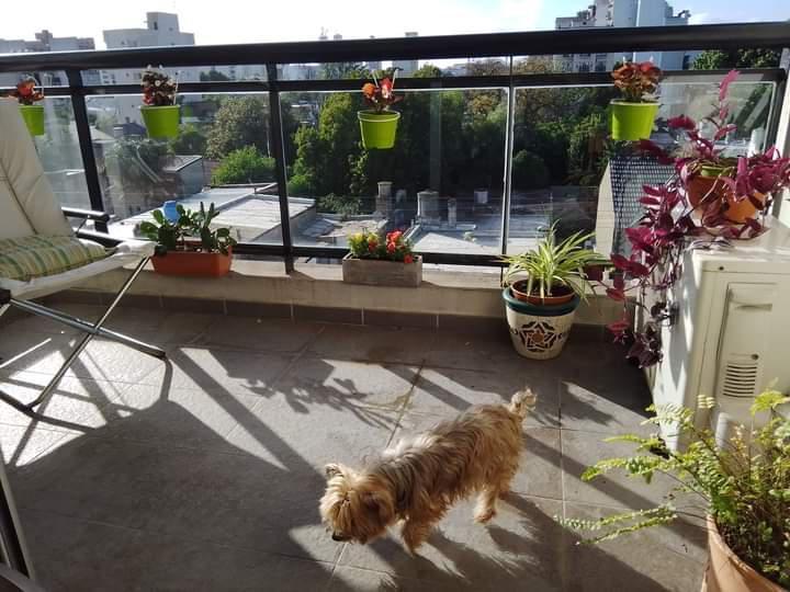 Departamento de Dos Ambientes en Suite con Cochera. Pleno Centro 1