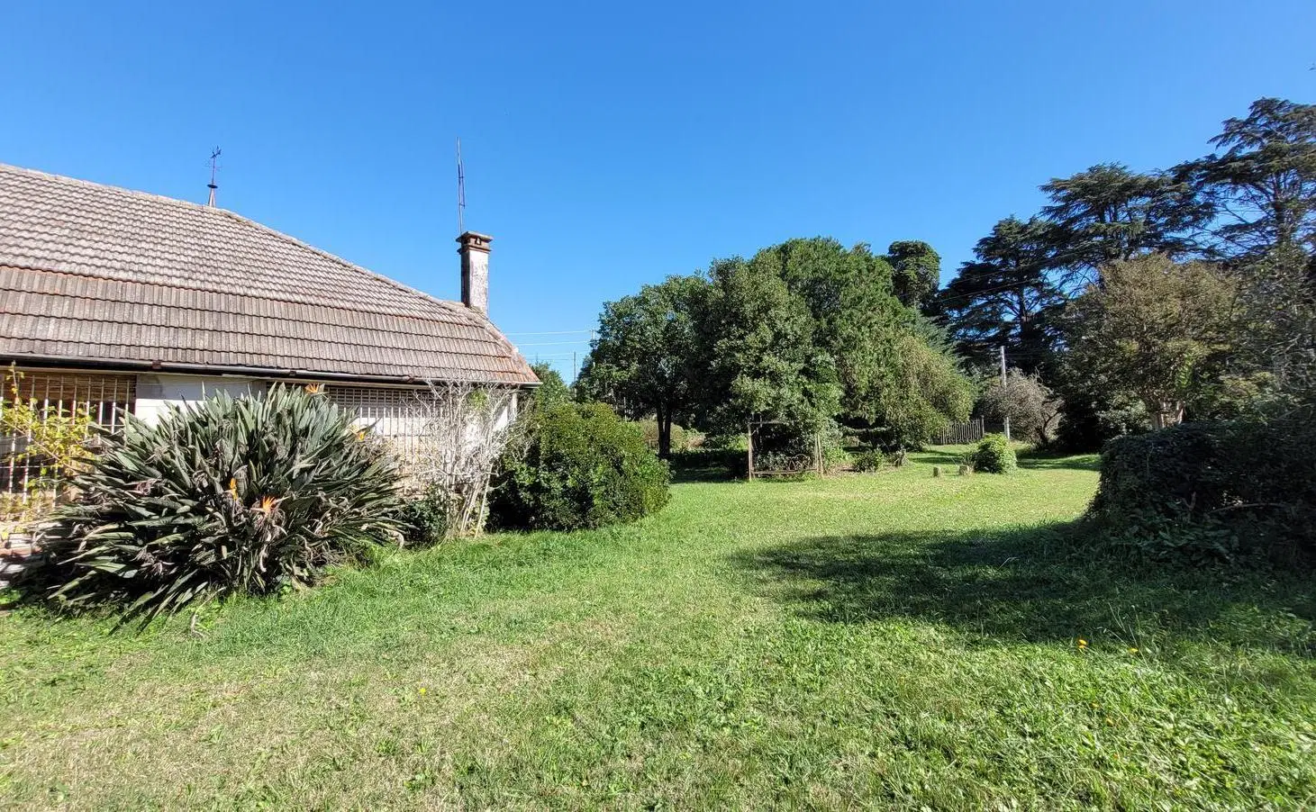 SE VENDE CASA Y 4 LOTES (JUNTOS O SEPARADOS) 3