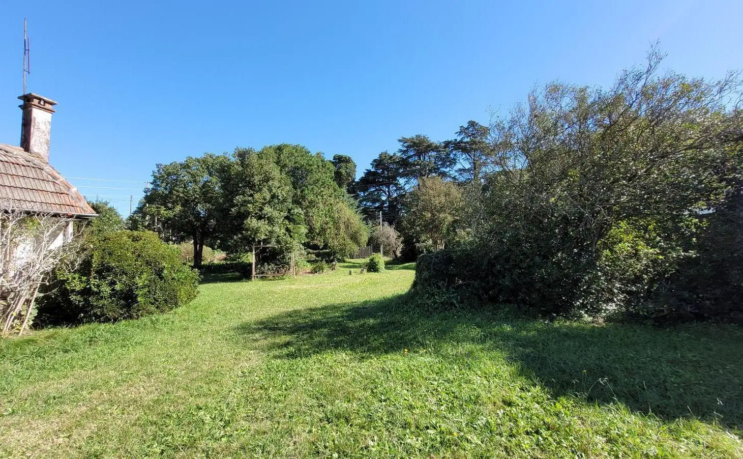 SE VENDE CASA Y 4 LOTES (JUNTOS O SEPARADOS) 4
