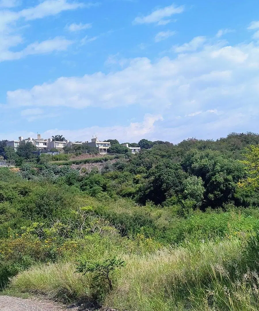 Terreno 5000mts ideal desarrollo inmobiliario 1
