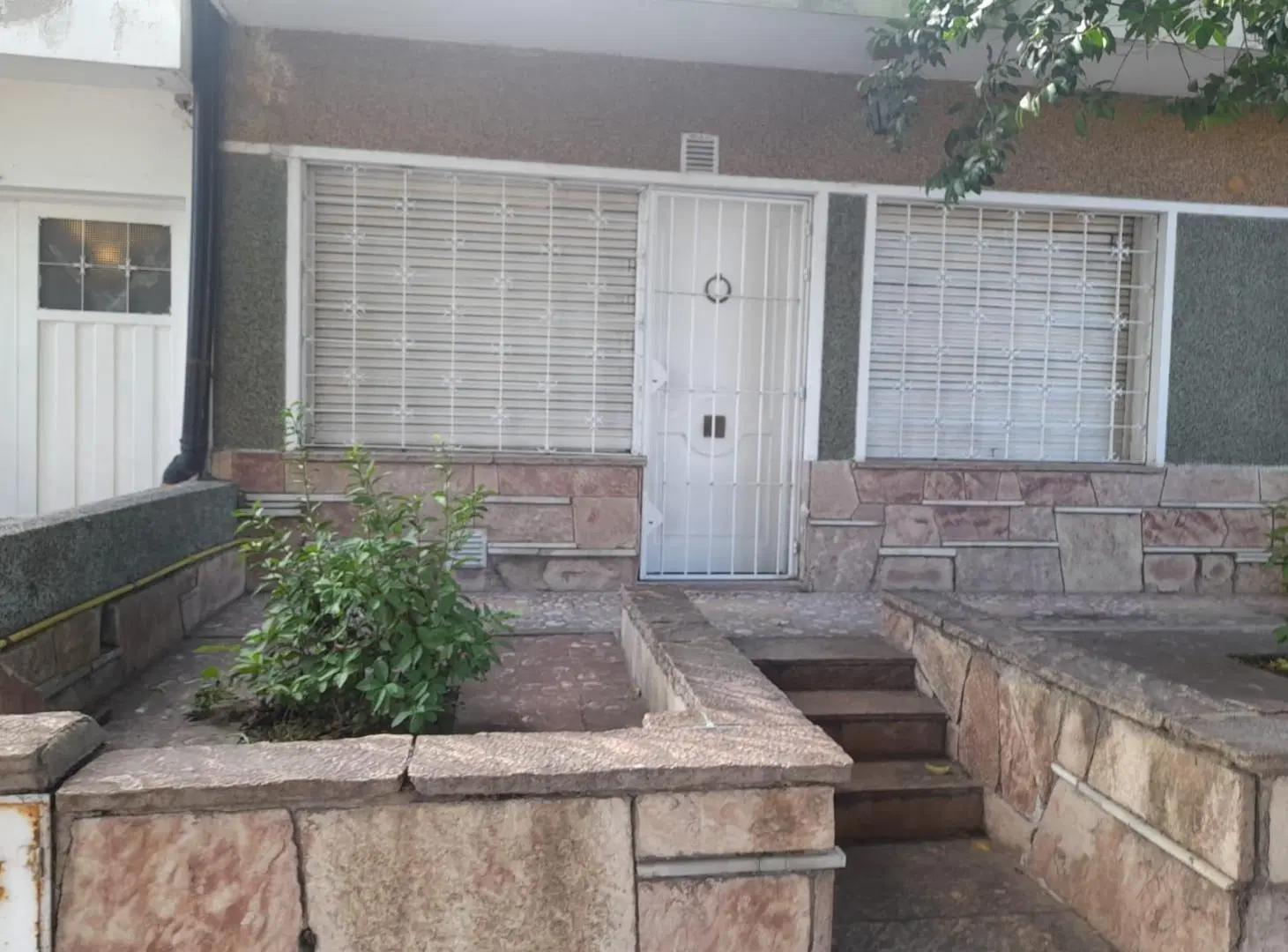 Alto Alberdi casa con amplio patio a refaccionar 5