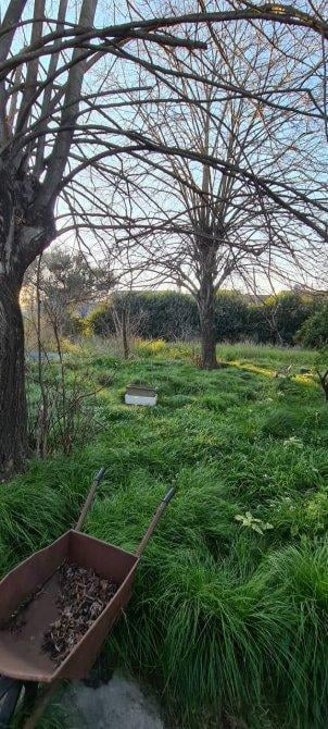 Foto de MUY LINDO LOTE EN VENTA, BUENA UBICACION, imagen 2