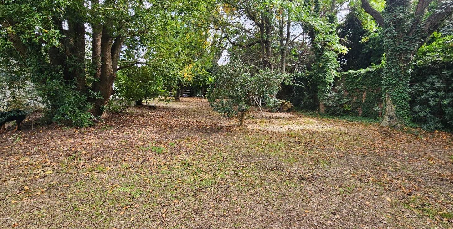 Foto de Terreno de 1880 m2, imagen 5