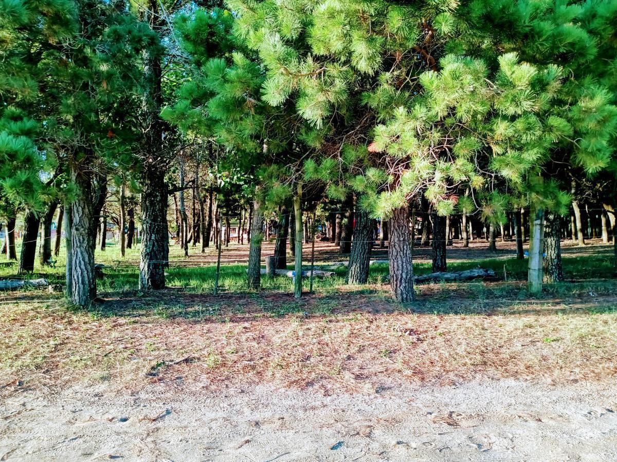 Lote en Esquina - Venta - Mar de Ajo 5