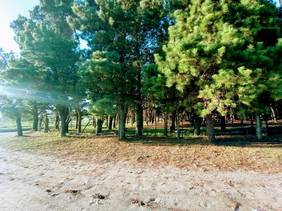 Lote en Esquina - Venta - Mar de Ajo 2