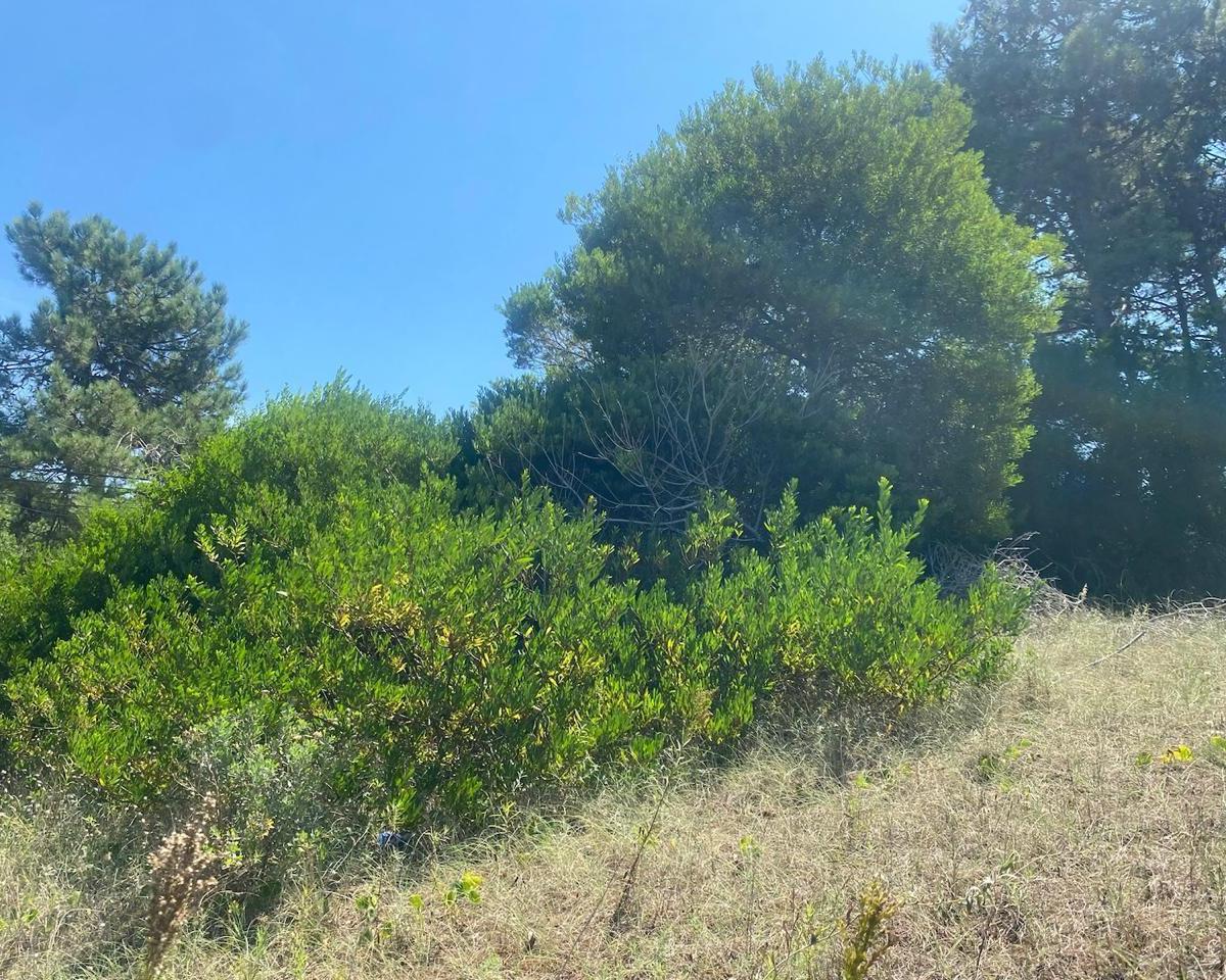 Lote en venta en Nueva Atlantis a cuatro cuadras del mar sobre calle Alfonsina Storni y Quinteros