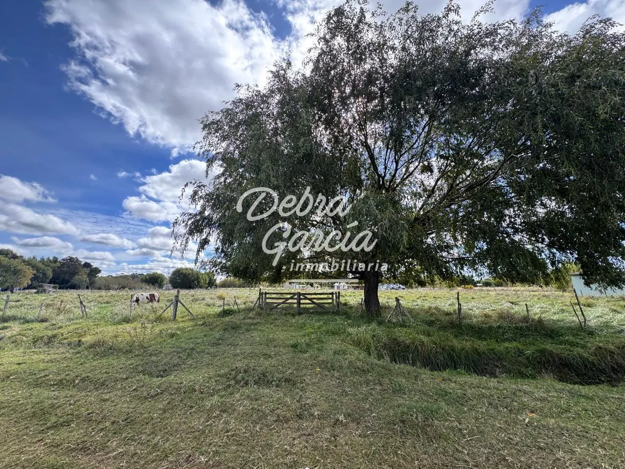 VENTA LOTE PAVON GARITA 5 DE 2.800 MT2 5