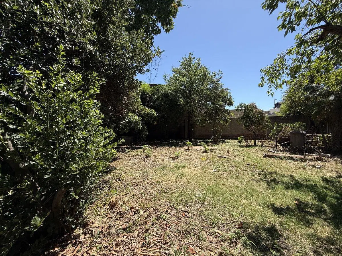 Lote interno apto PB + 2 pisos uso comercial o vivienda 1