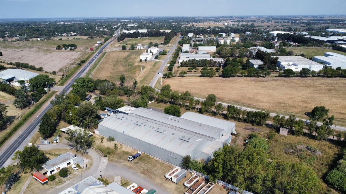 Venta de Galpones Sobre Ruta 21 en Alvear 4