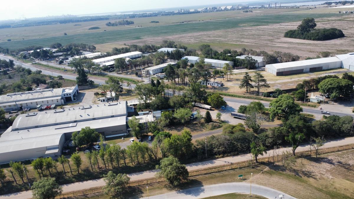 Venta de Galpones Sobre Ruta 21 en Alvear 5