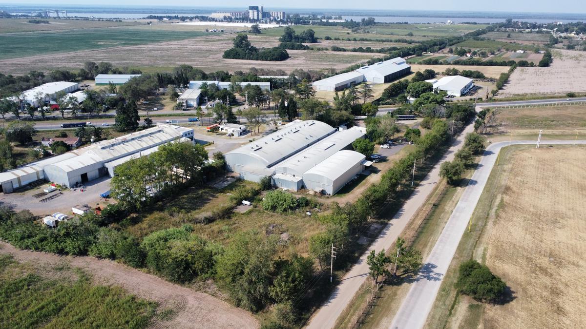 Venta de Galpones Sobre Ruta 21 en Alvear 3