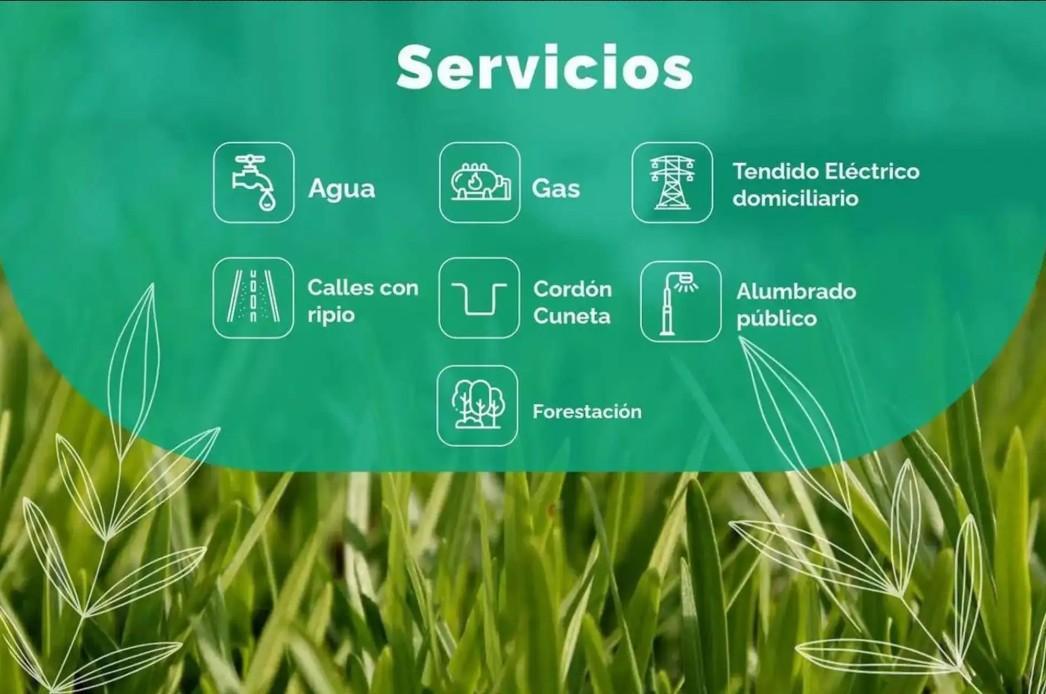 Foto de Terreno en barrio cercano - localidad de Ricardone, imagen 1