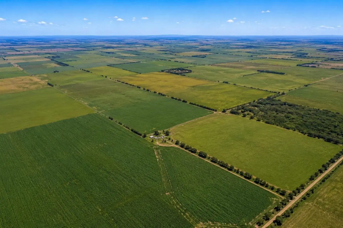 CAMPO MIXTO EN VENTA 348 HAS A 37 KM DE TRES ARROYOS 1