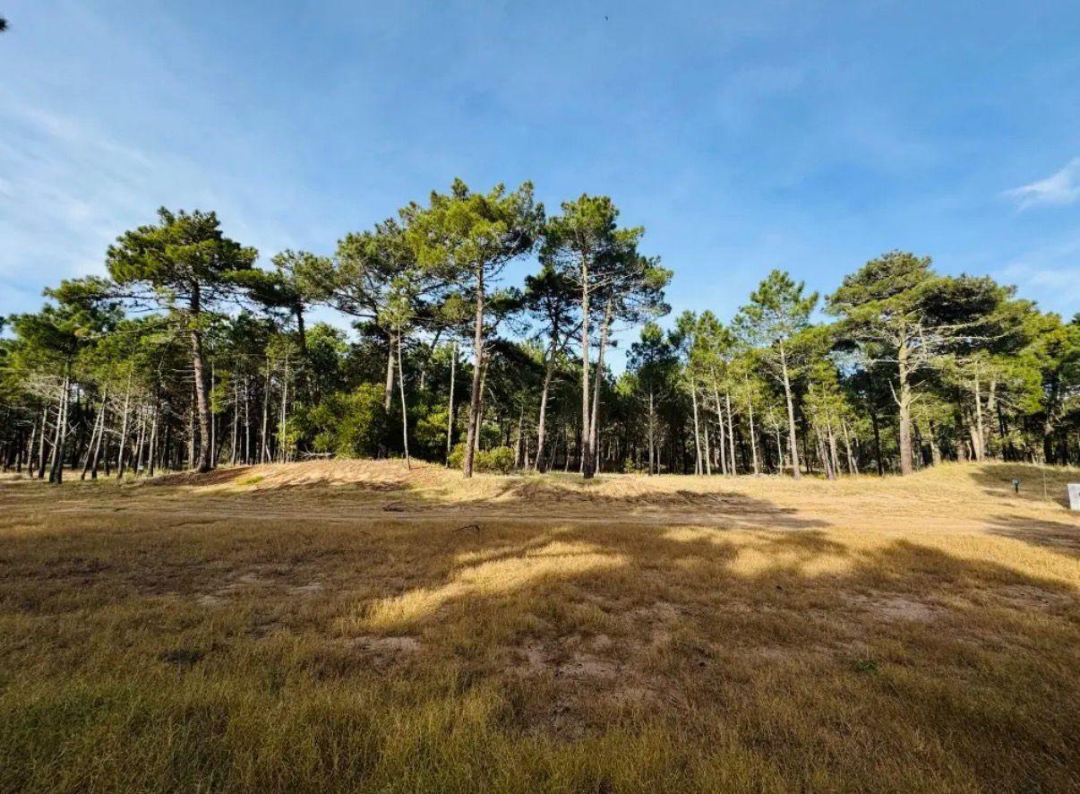 Foto de Terreno en barrio Bosques, Pinamar, imagen 2
