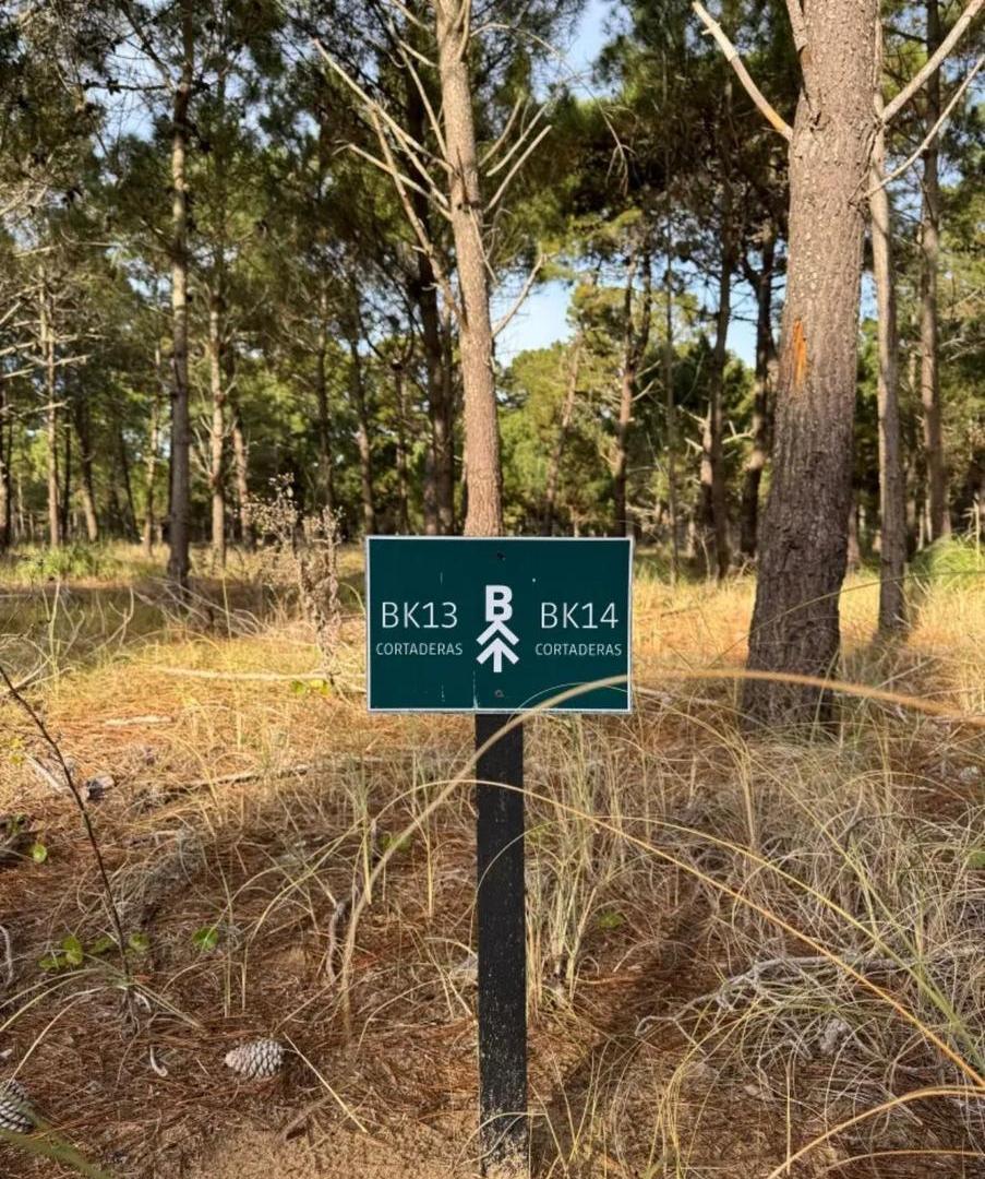 Foto de Terreno en barrio Bosques, Pinamar, imagen 4