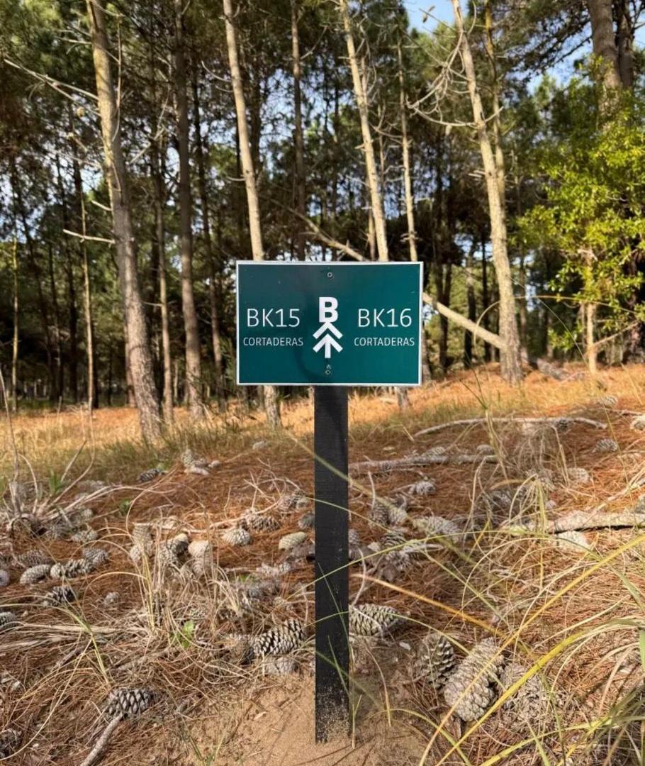 Foto de Terreno en barrio Bosques, Pinamar, imagen 1