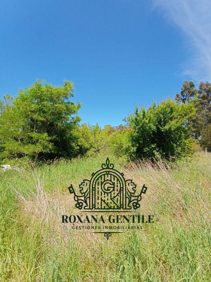 Casa Quinta en Venta de 13049 m² Ubicado en Tandil 2