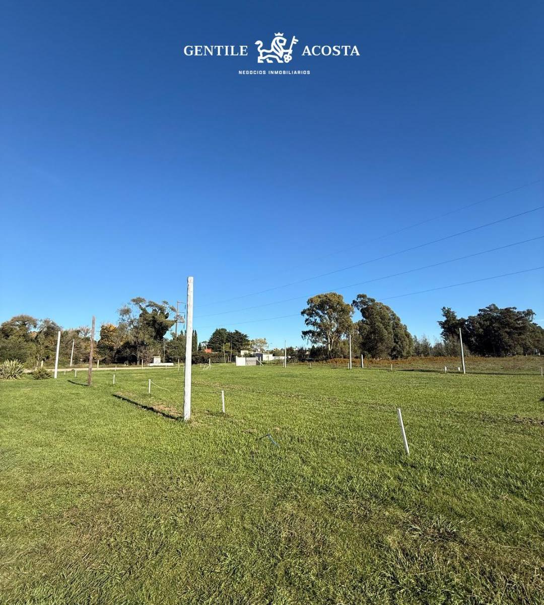 Venta Lotes 2